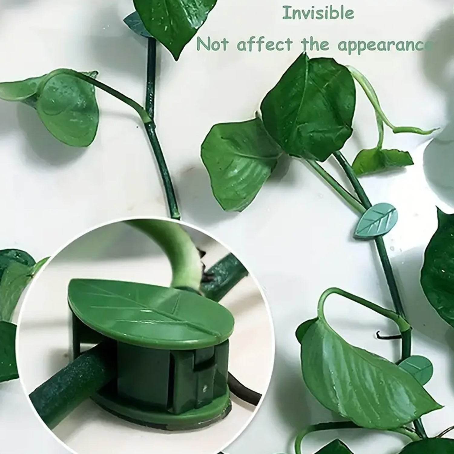 Leaf-shaped green plant climbing clips neatly arranged on a white background.